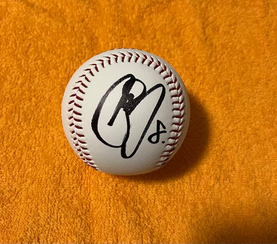 お*る様 ジャイアンツ 丸佳浩 （サインなし） お*る様 ジャイアンツ 丸