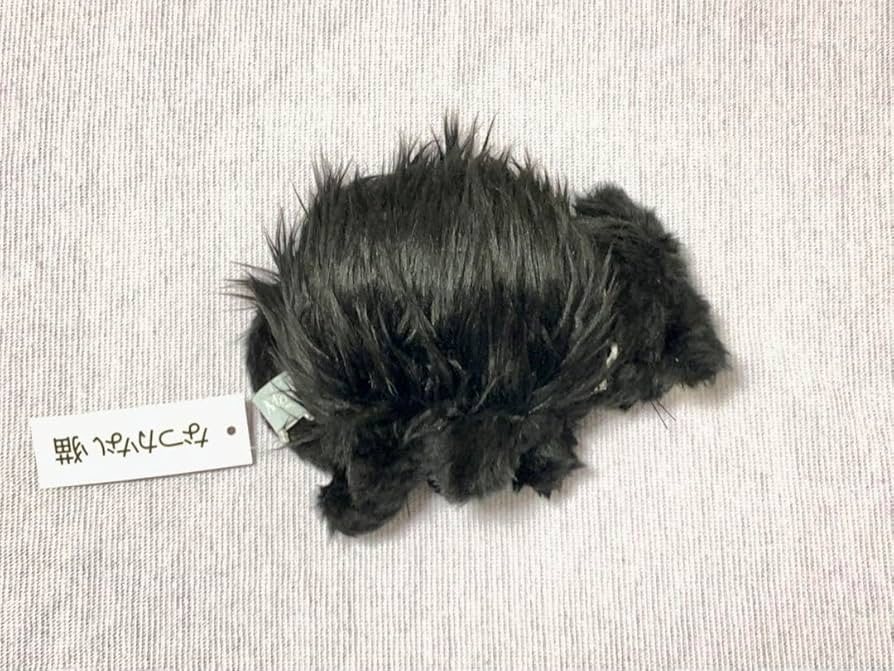 Amazon.co.jp: せこなお なつかない猫 ぬいぐるみ : おもちゃ