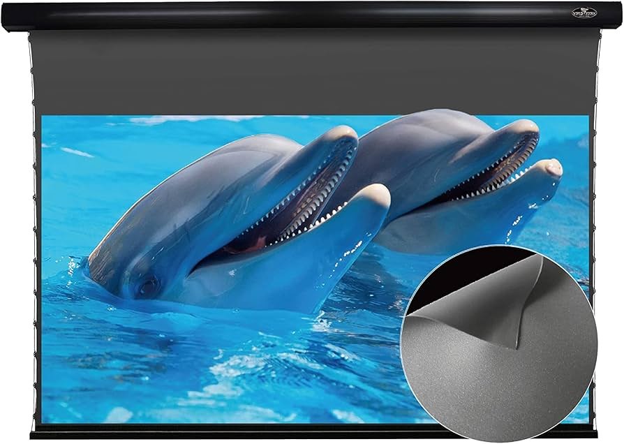 Amazon | プロジェクター スクリーン 長焦点 100インチ VIVIDSTORM