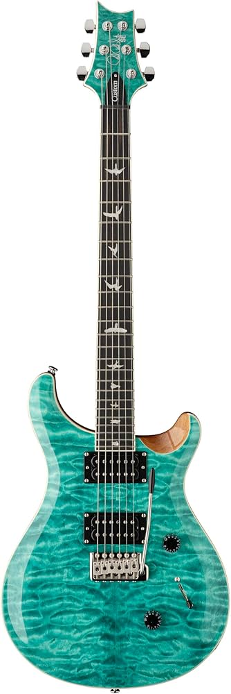 Amazon | SE Custom24 Quilt Turquoise | エレキギター | 楽器・音響機器
