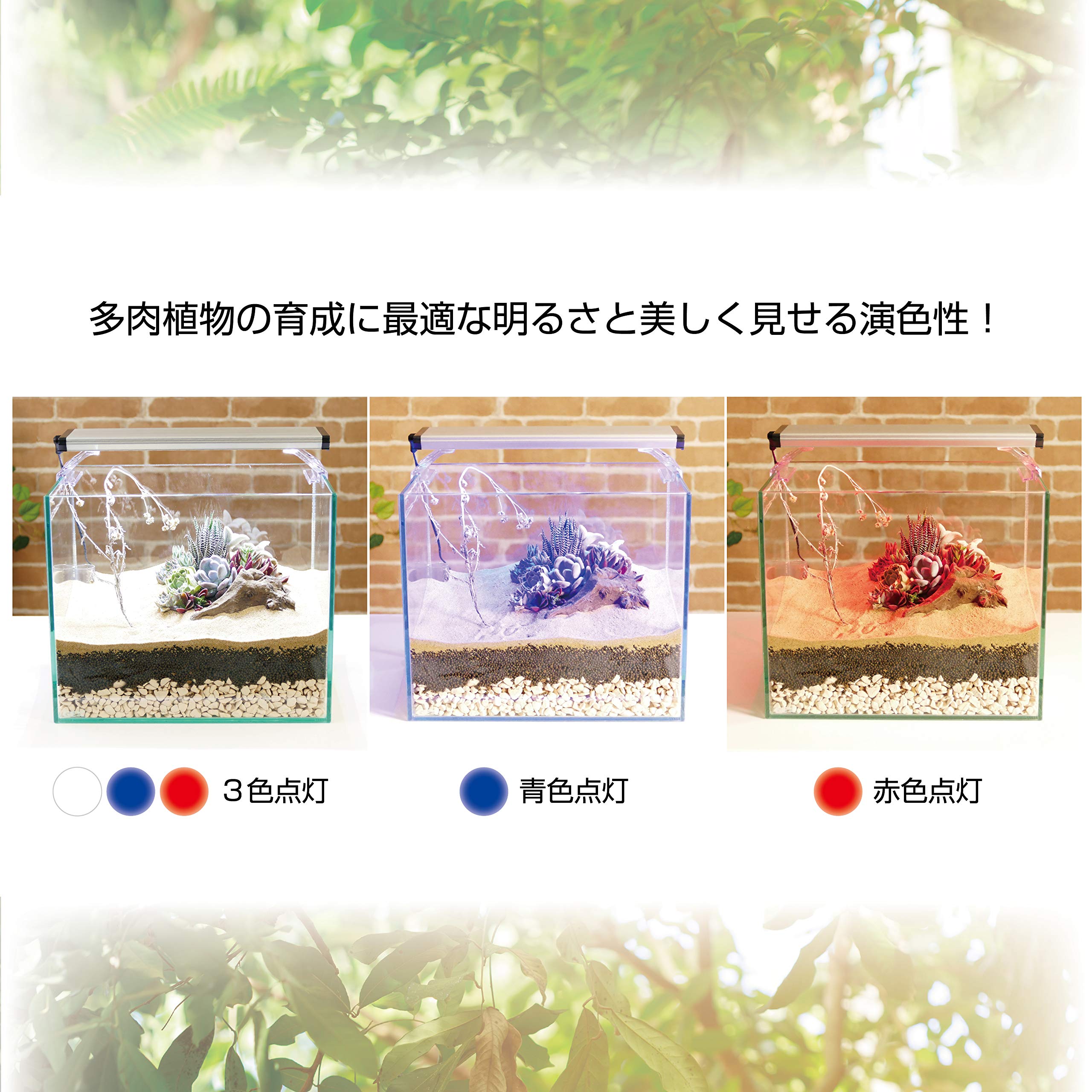 Amazon | ジェックス GEX クリアLED POWER III 450 明るさ750lm 色温度