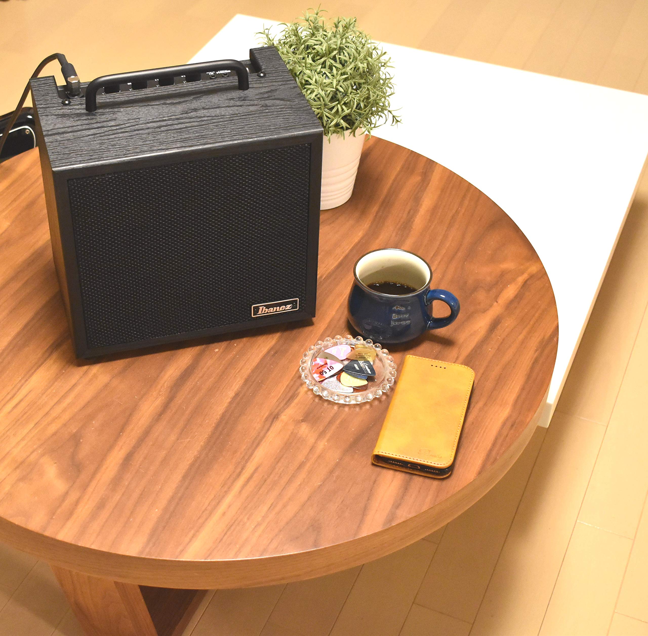 Amazon.co.jp: Ibanez(アイバニーズ) エレキ・ベース用10W 練習用