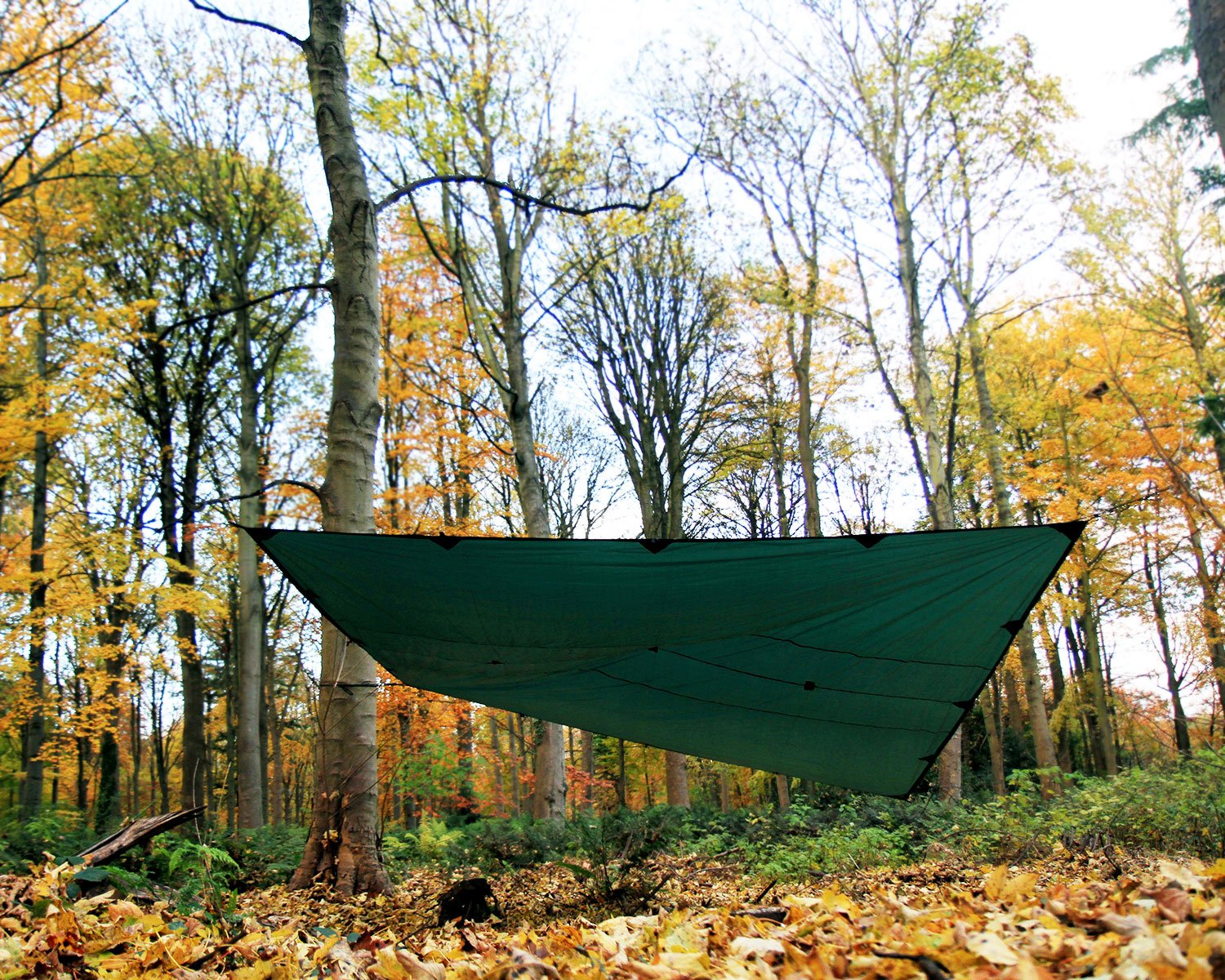 Amazon.com : DD Hammocks - DD Tarp 4x4 - Olive Green: 13ft x 13ft