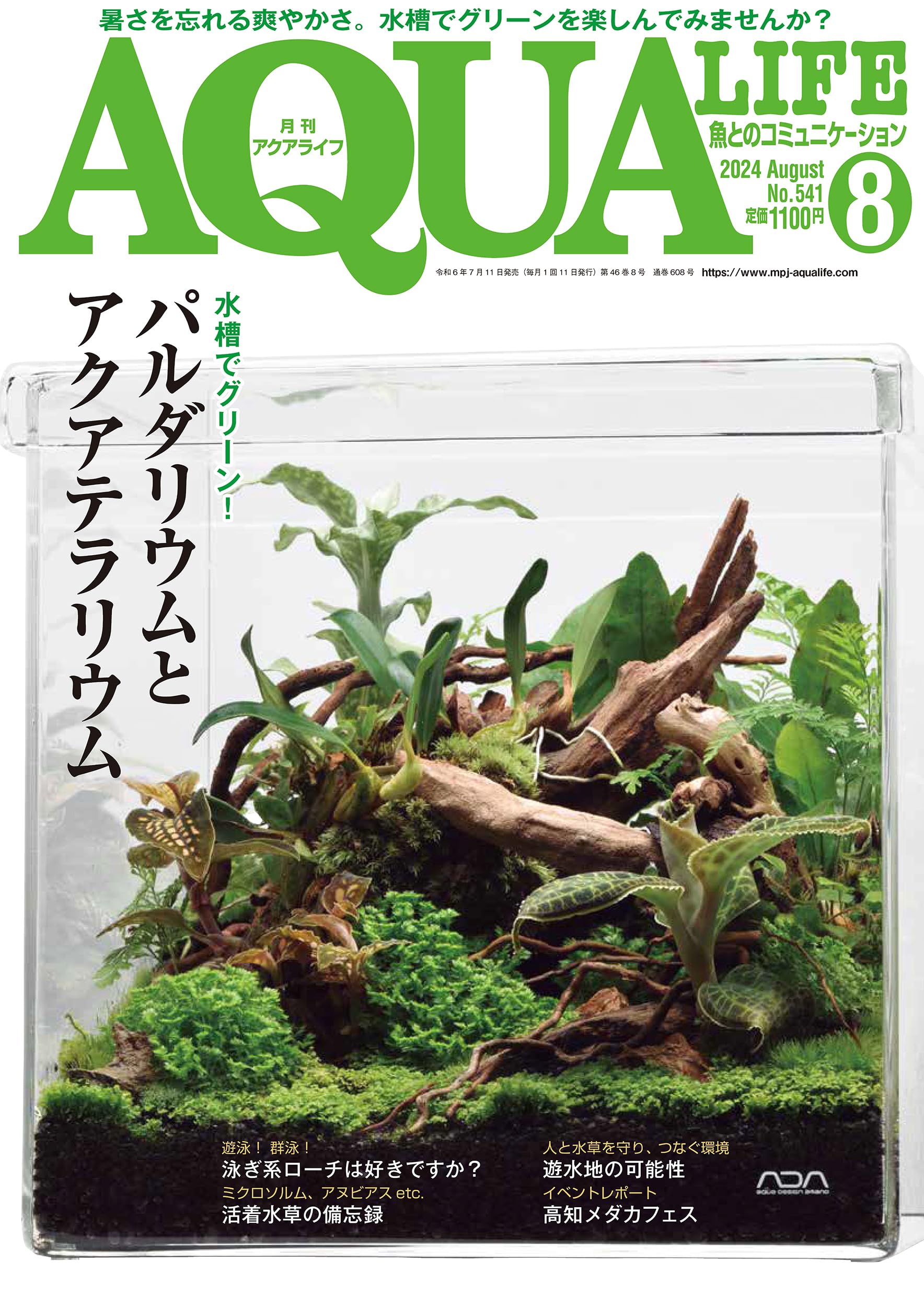 初めてのアクアテラリウム No.3 パルダリウム イモリウム 20cm水槽