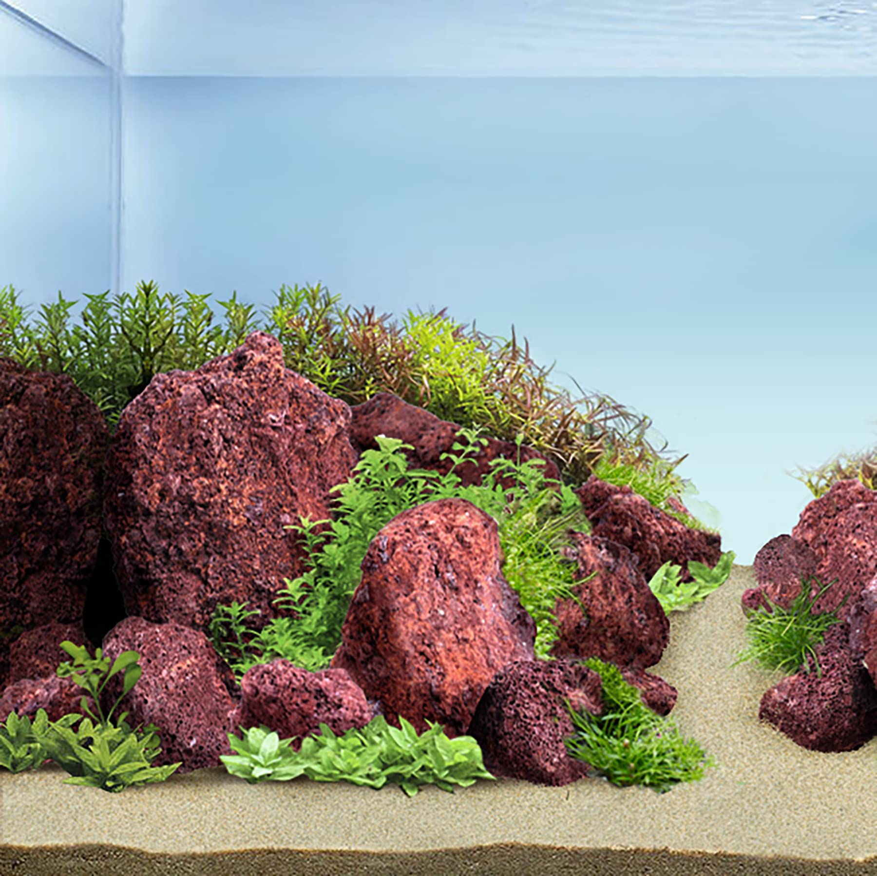Amazon | LANDEN レッド溶岩石 アクアスケープ テラリウム
