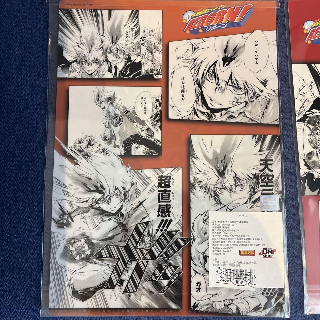 Amazon.co.jp: 家庭教師ヒットマンreborn クリアファイル 獄寺隼人