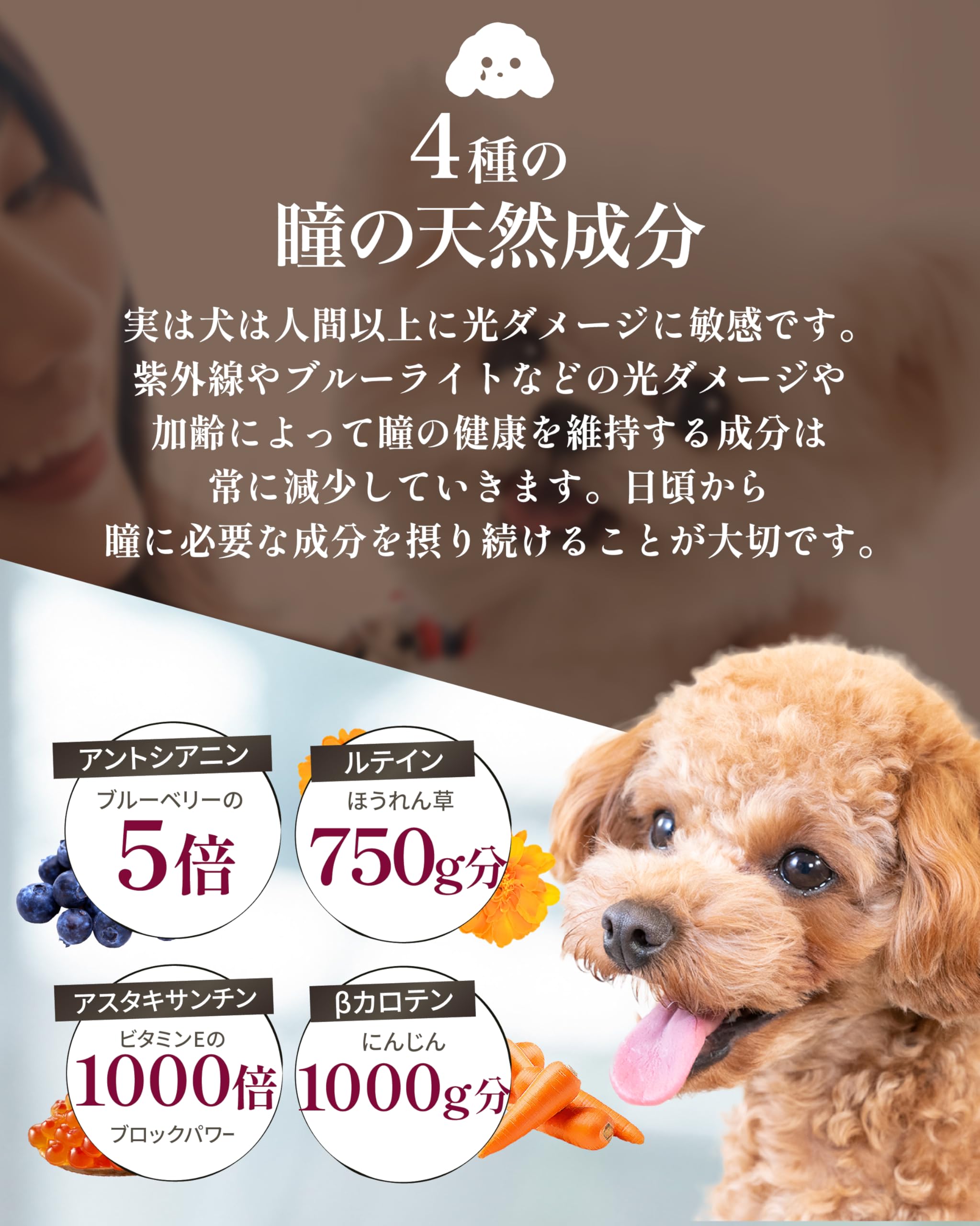 Amazon.co.jp: アミュレ 犬 サプリ シニア犬 目 瞳 頭 関節 獣医師大