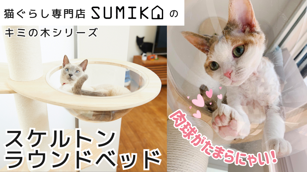 Amazon | [SUMIKA 突っ張り 型 木製 キャットタワー 専用 スケルトン