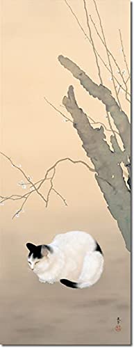 Amazon.co.jp: 掛け軸 掛軸 菱田春草（ひしだしゅんそう）・ 猫梅