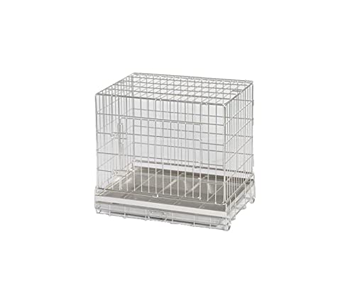 Amazon | 市瀬 ハチコウステンレスケージ SSM-SOP | 市瀬 | 飼育ケージ