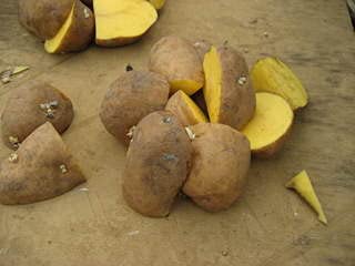 Amazon.co.jp: 種芋 インカのめざめ 北海道産 じゃがいも 10kg（正規品