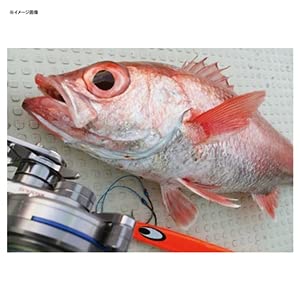 Amazon.co.jp: ダイワ(DAIWA) メタルジグ ソルティガ TGベイトロジー