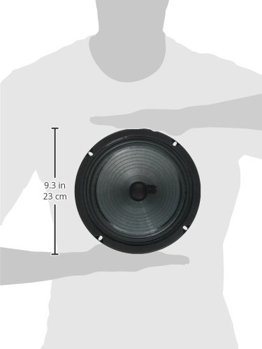 Amazon.com: Jensen Vintage P8R8 8-Inch Alnico Speaker, 8 ohm