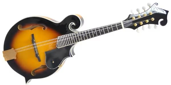 Amazon | PLAYTECH (プレイテック) Fスタイルフラットマンドリン