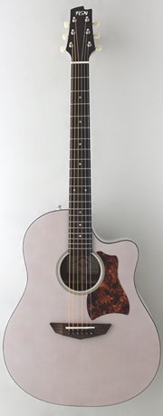 Amazon | FGN (Fujigen フジゲン 富士弦) AG1-TWF Acoustic Guitar
