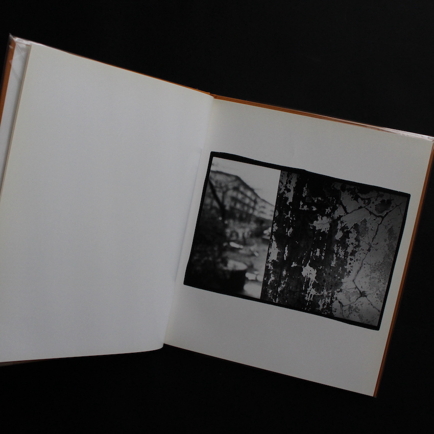 hysteric Twelve - 深瀬 昌久 / Masahisa Fukase