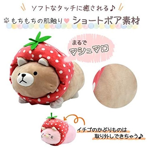 送料無料】【即日発送(土日祝除く・13:00までのご注文)】のびるよ