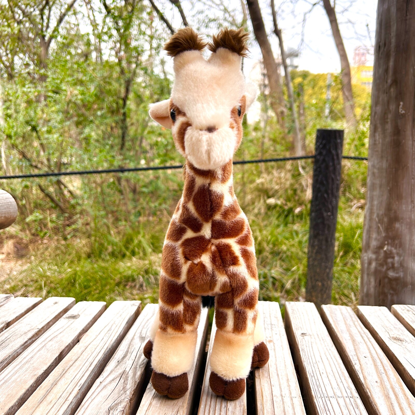 天王寺動物園オリジナル】キリンぬいぐるみ 幸弥M | 天王寺動物園