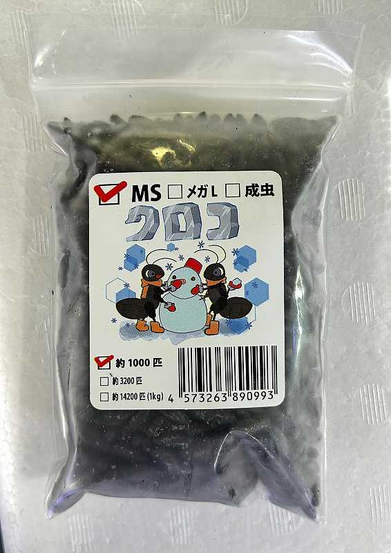 冷凍クロコオロギ（MSｻｲｽﾞ） | 冷凍エサ,冷凍エサ（肉食生物向け