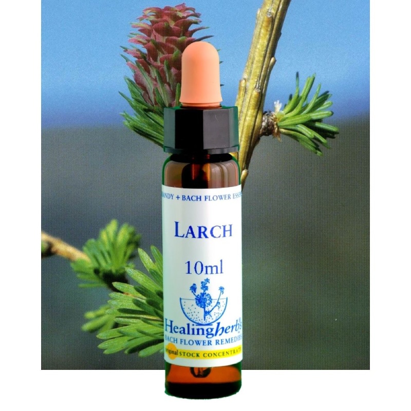 ponponette様専用□30ml×3本ヒーリングハーブス社フラワーエッセンス 5