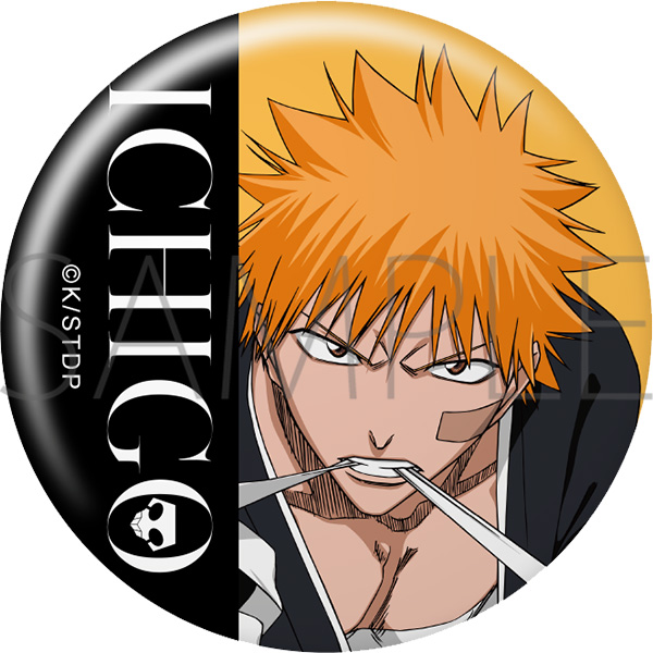 BLEACH EX. オリジナル名シーン缶バッジ＋オリジナルピンバッジ セット