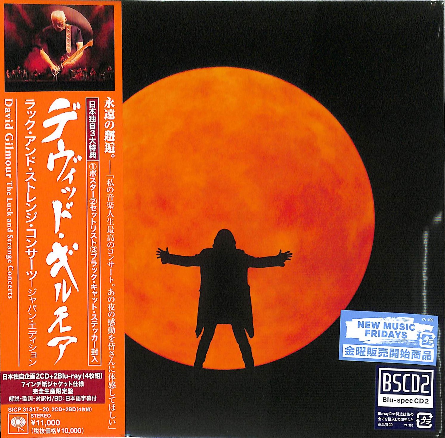 芽瑠璃堂 ＞ デヴィッド・ギルモア 『ラック・アンド・ストレンジ