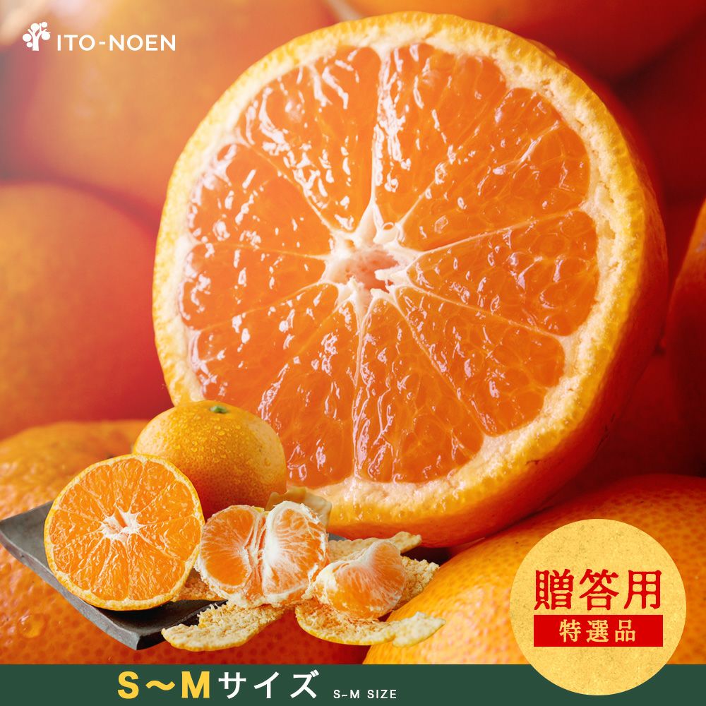 000000000106-01-xl.jpg?t=