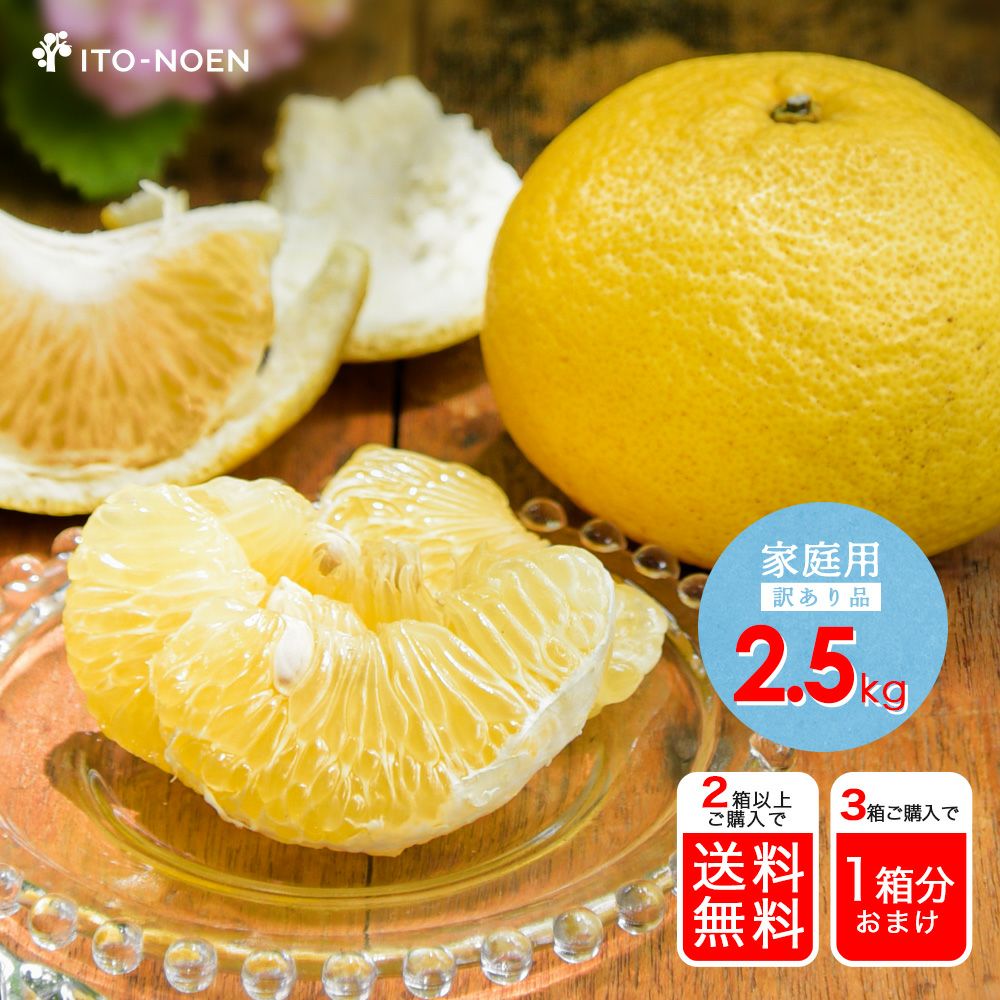 初夏限定】【数量限定】夏みかん【家庭用(訳あり)】 5kg・10kg | 有田