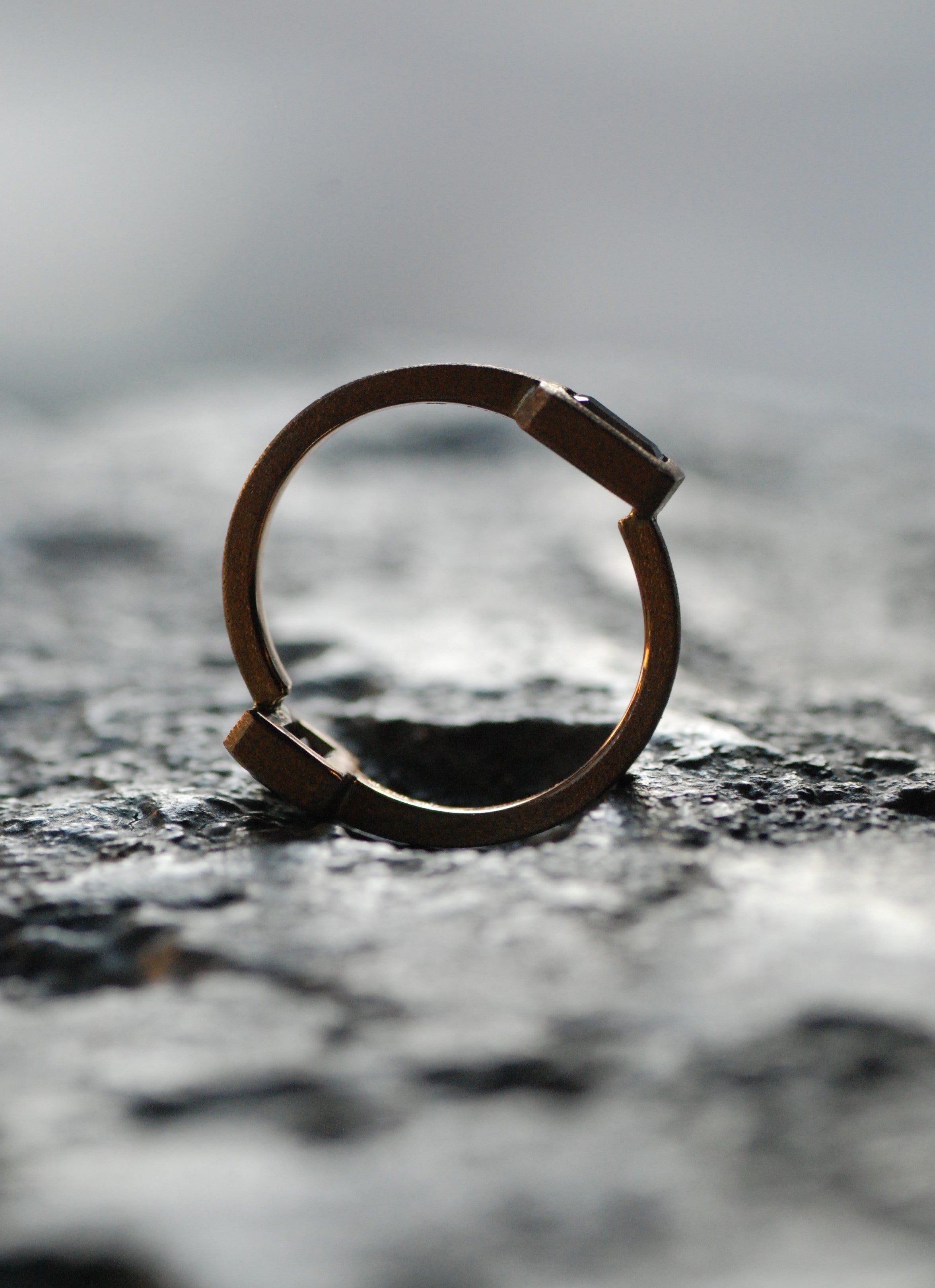 クロエとオオエ – Moixx