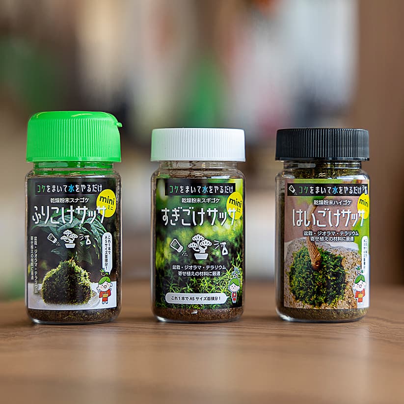 お手頃価格】すぎこけサッサmini-生やしたいところにサッと撒いて水を