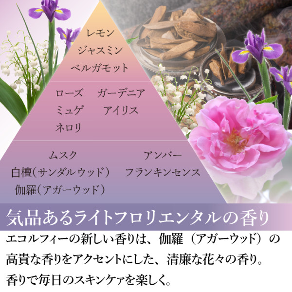 通常購入】エコルフィー アドバンスド シルキーローション | ナガセ