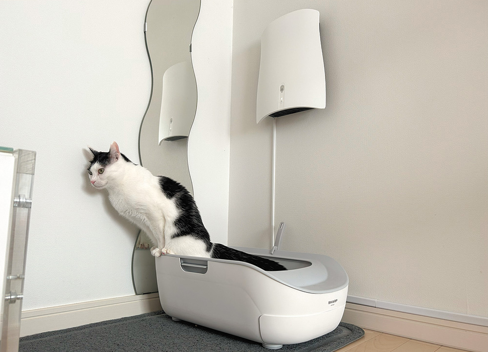 ペット専用除菌脱臭機SUNSTAR QAIS-air- 04A1J「それぞれのお部屋で