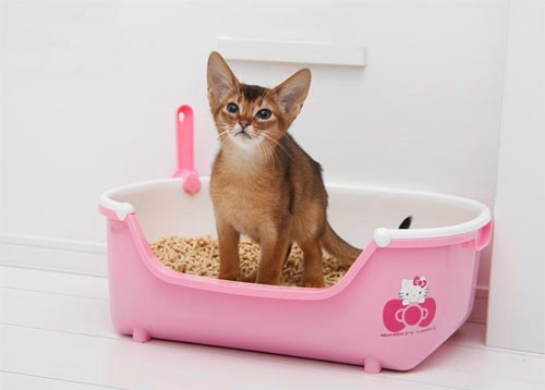 あのキティさんがトイレになった! 限定デザインが新発売 | マイナビ