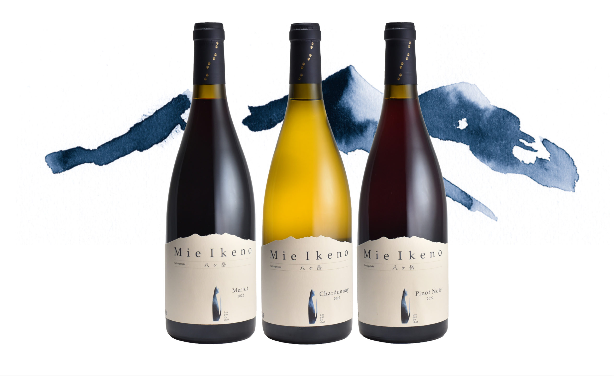 星野リゾート リゾナーレ八ヶ岳」7月13日に宿泊者限定で、「Mie Ikeno