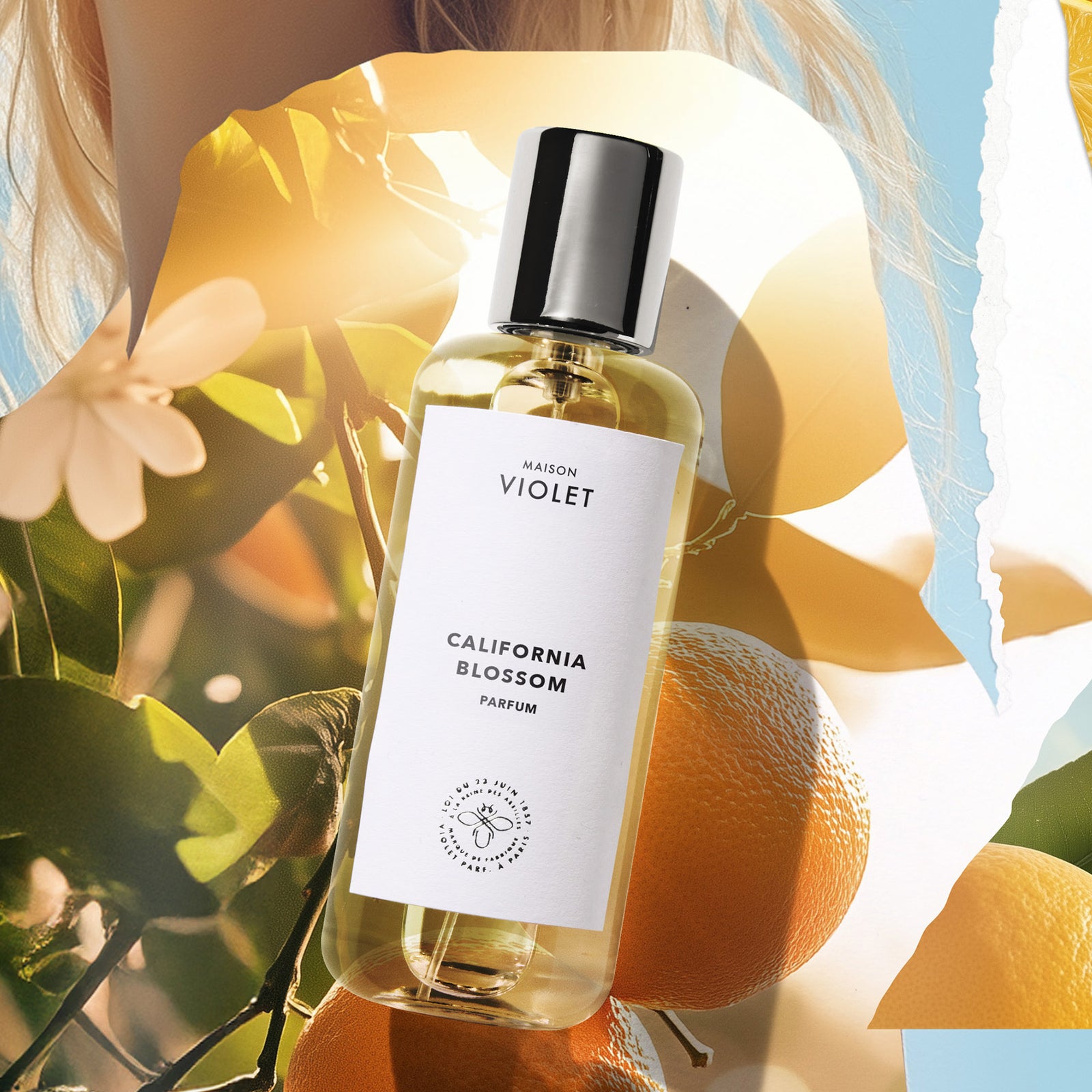 カリフォルニア ブロッサム｜花咲く夏の記憶 – NOSE SHOP