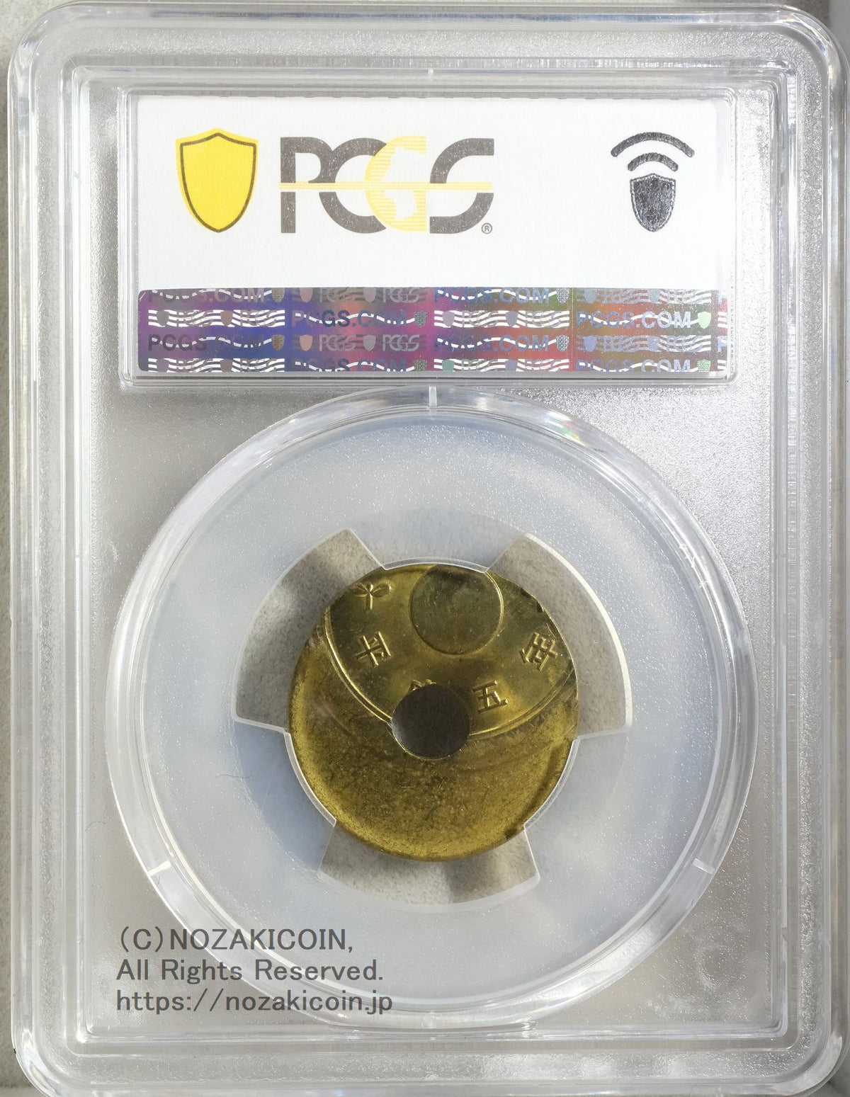 s-DSCF0713_1200x.jpg?v=1748332472