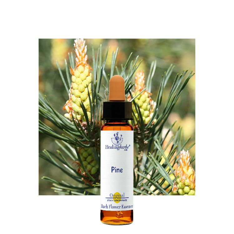 ヒーリングハーブスフラワーエッセンス | ニールズヤード レメディーズ