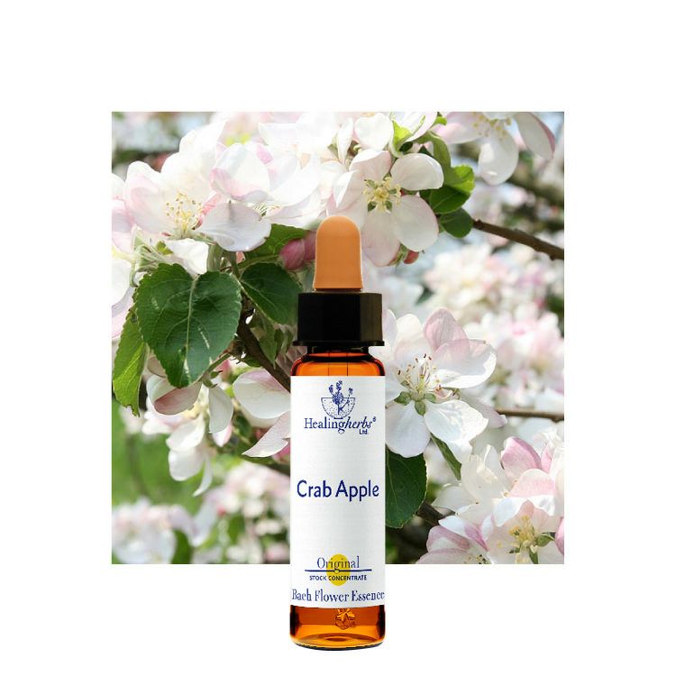 ponponette□30ml×3本ヒーリングハーブス社フラワーエッセンス