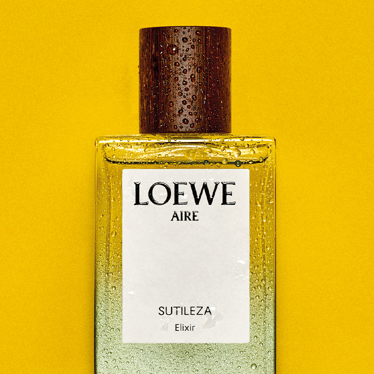 オードゥ トワレ “ロエベ エセンシア”（50mL）（香水）｜LOEWE