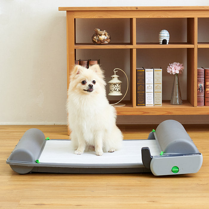 アプリで操作！スマホ対応自動犬トイレ BrilliantPad SMART