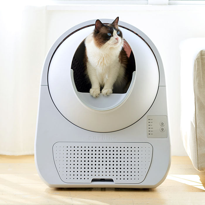 自動猫トイレ CATLINK SCOOPER YOUNG（キャットリンクスクーパーヤング