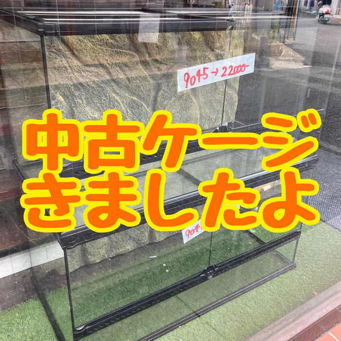 中古ケージ販売中！グラテラ9060,9045,9030 | ブログ | 大阪府門真市の