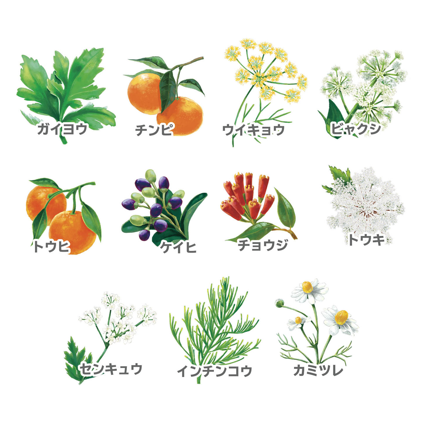 Luluonnとは？ | 株式会社 温世