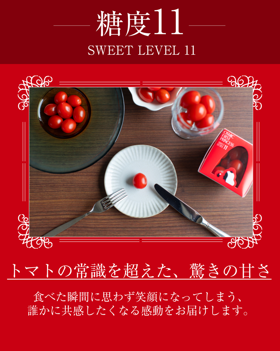 トマトさん専用 公式 トマトさん専用 マスキング g91 トマトさん専用