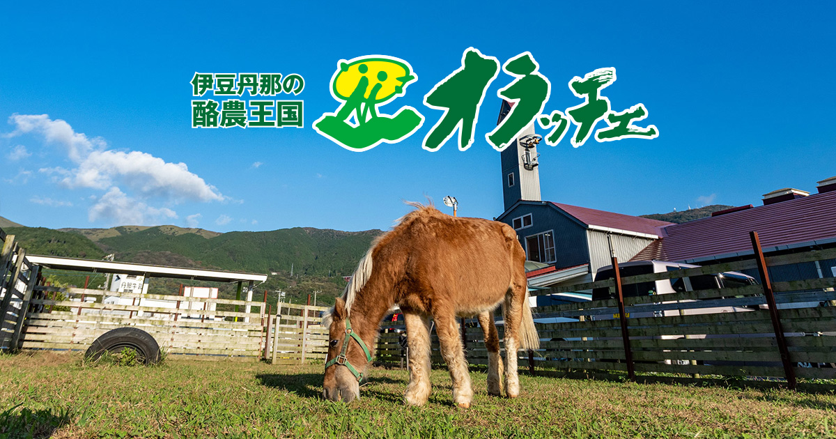 酪農王国オラッチェ | 酪農を愛し、自然を守り、 大地をはぐくむ人たち