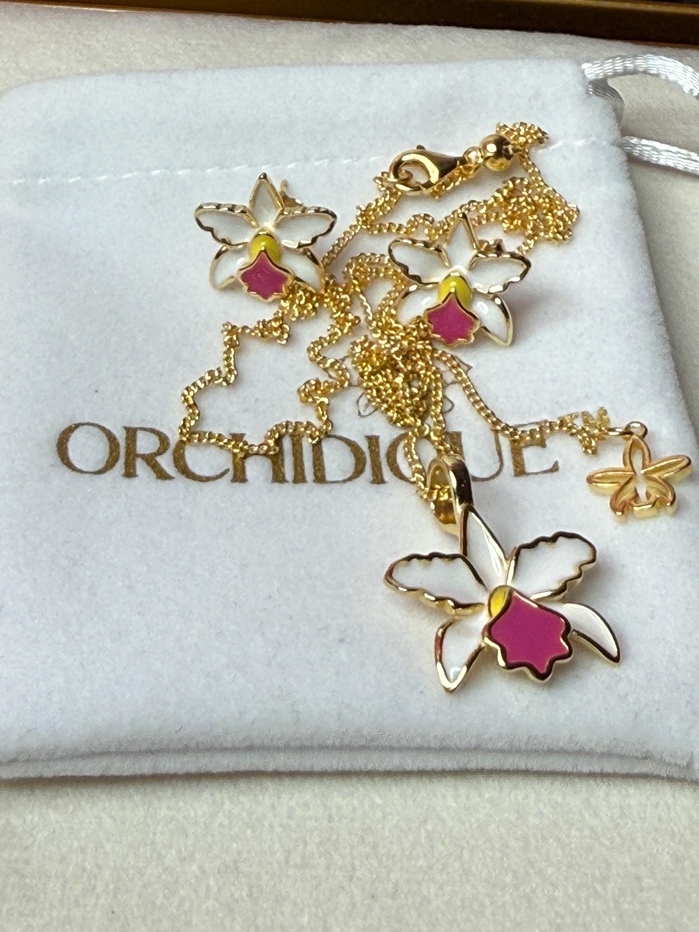 La Colombiana Collection: White & Pink Cattleya Trianae Orchid