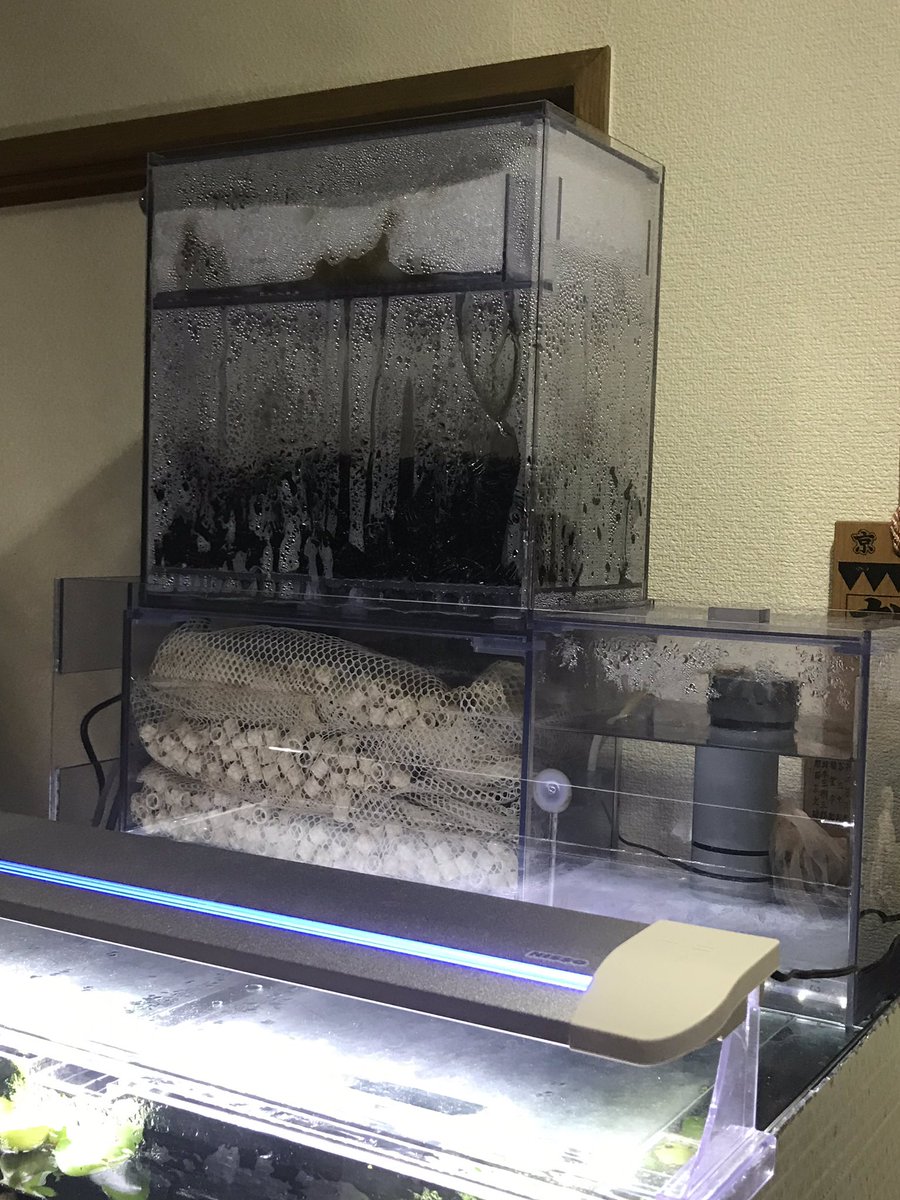 上部フィルターにドライ層を追加。 背が高くなりすぎた。 天まで届け