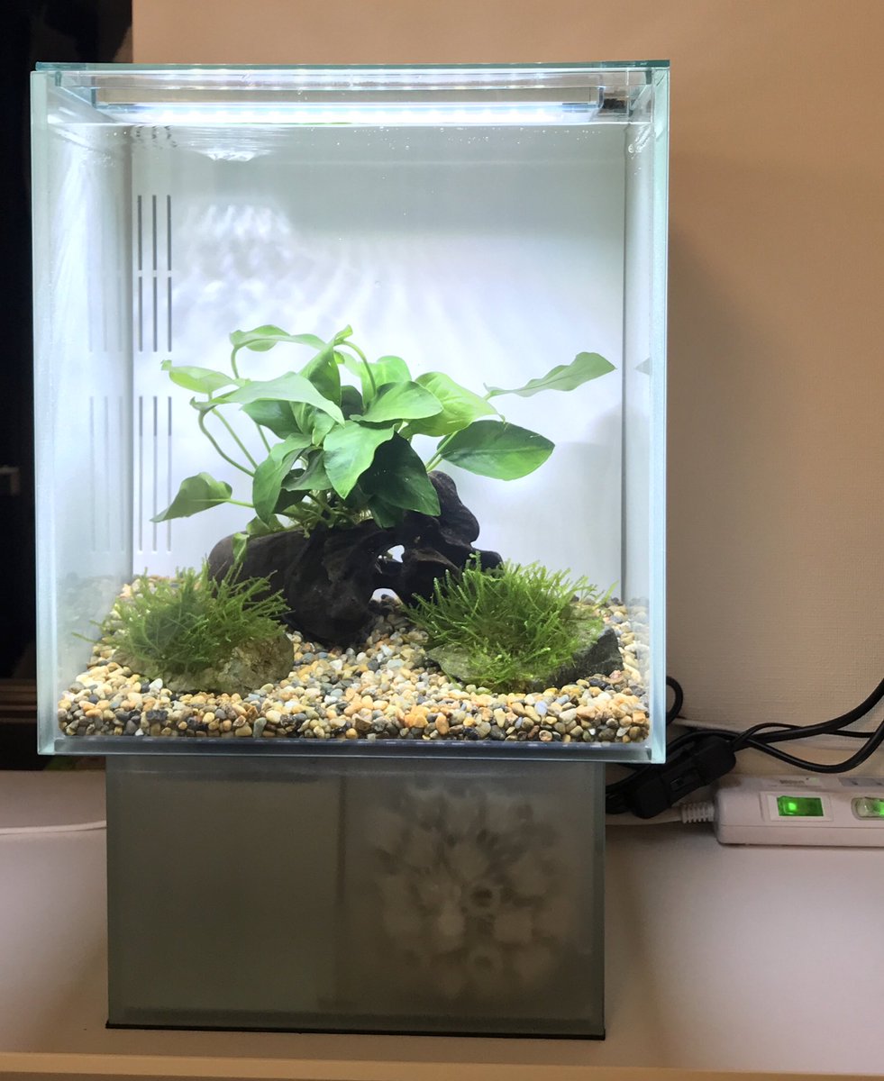 ジェックス グラステリアAGSスライド OF－230