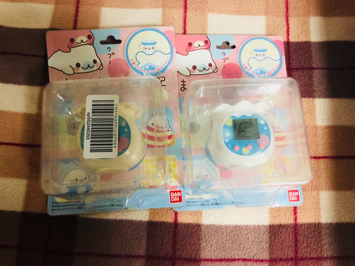 まめゴマ飼育日記