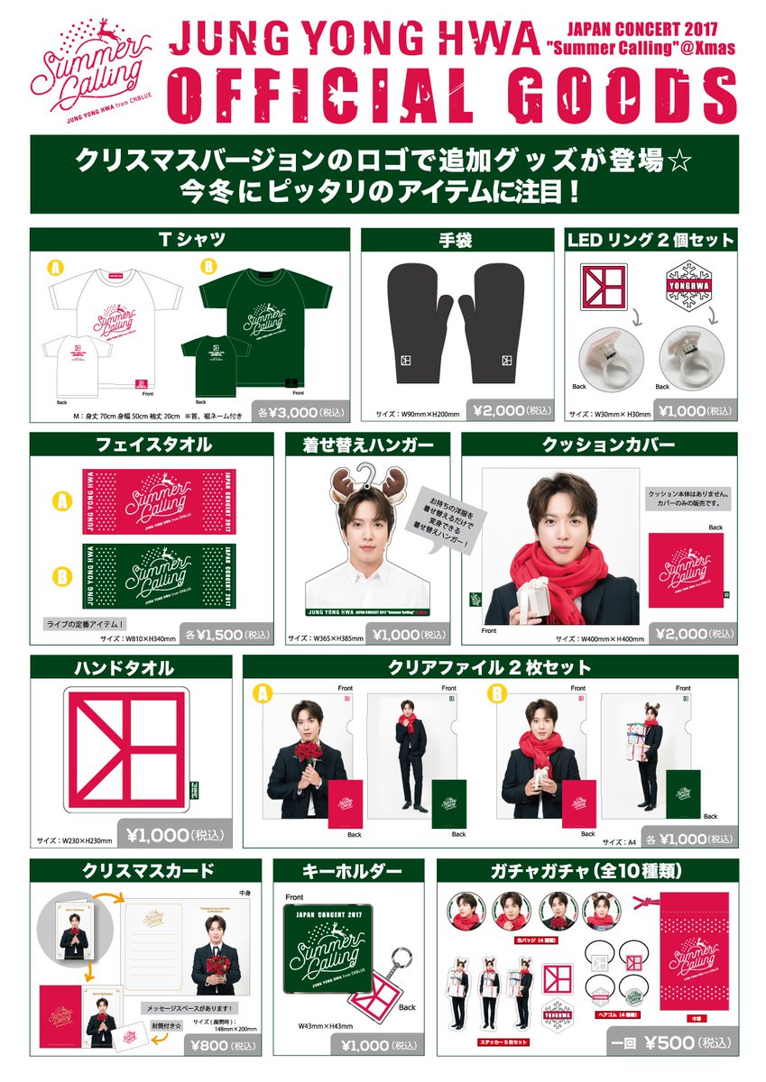 ジョン・ヨンファ「JUNG YONG HWA JAPAN CONCERT 2017 